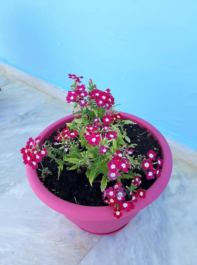 פיתגוריו Stratos Hotel מראה חיצוני תמונה
